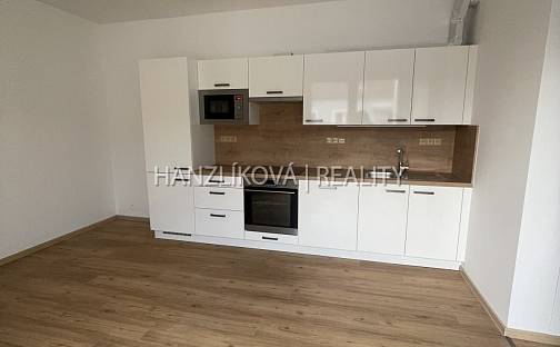 Pronájem bytu 3+kk 54 m², Hálkova, České Budějovice - České Budějovice 3