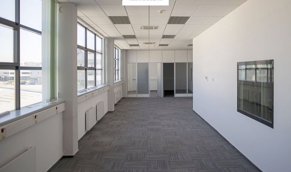Pronájem výrobních prostor 12 208 m², Hrušky – náhled fotky 11