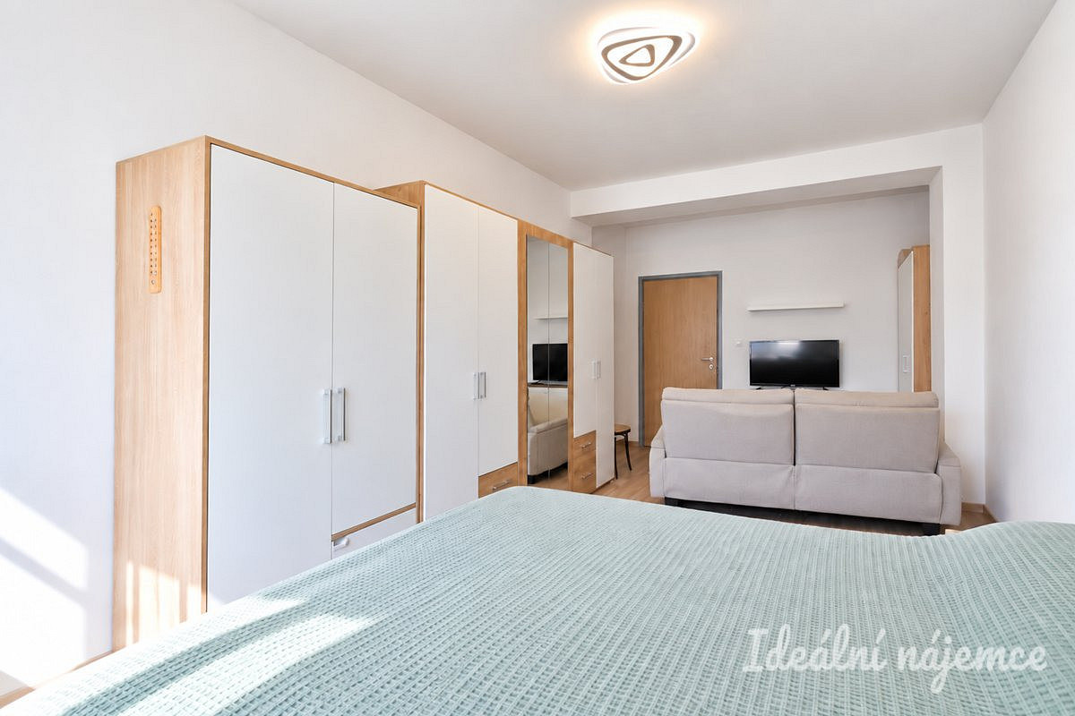 Pronájem bytu 2+1 54 m² – fotografie 4