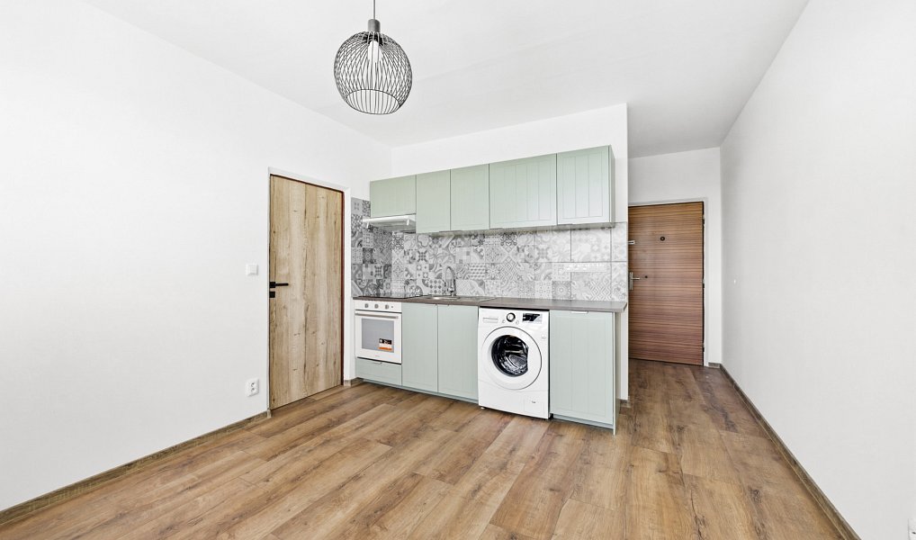 Pronájem bytu 1+1 36 m², Plzeň – náhled fotky 2