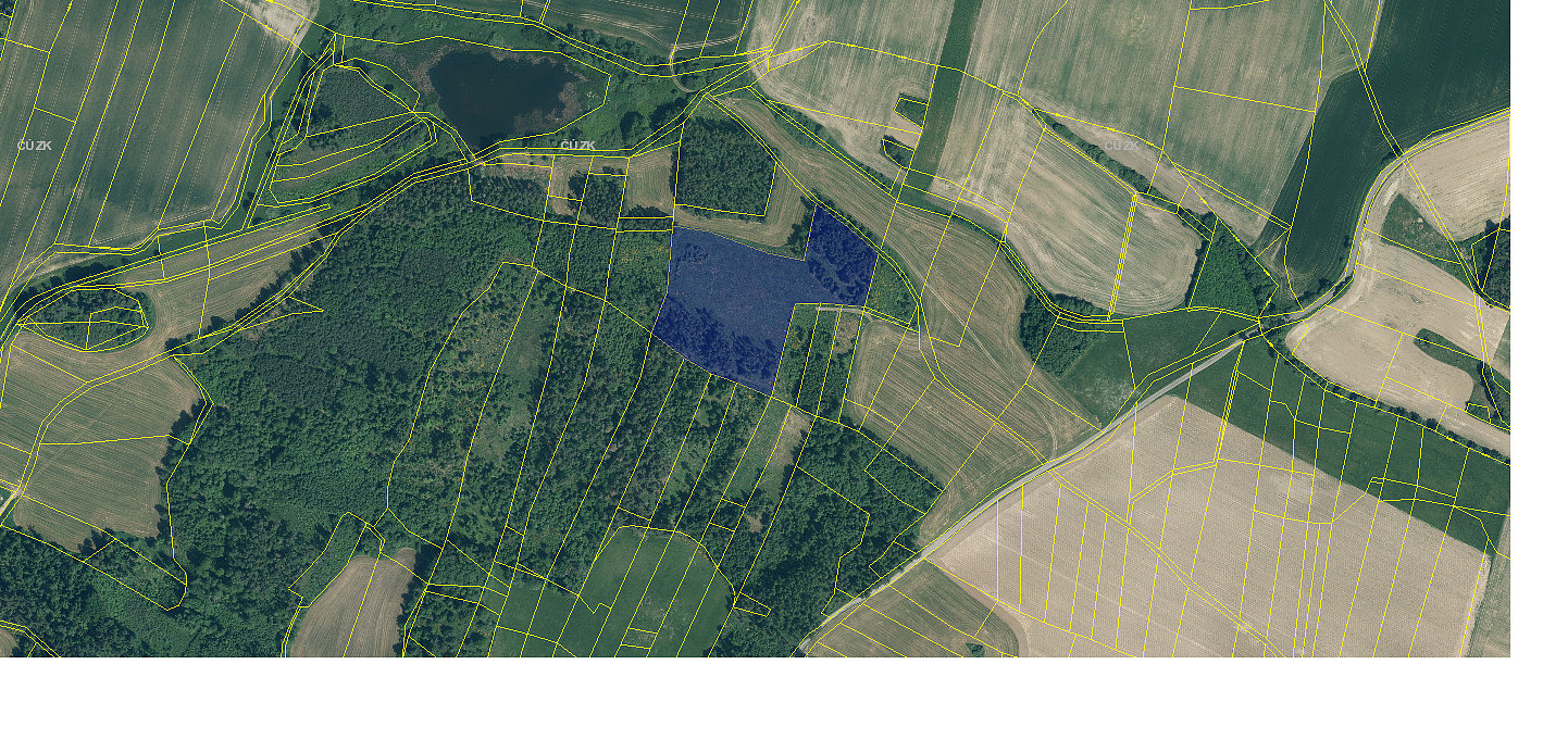 Prodej lesa 19 057 m² — photo 3