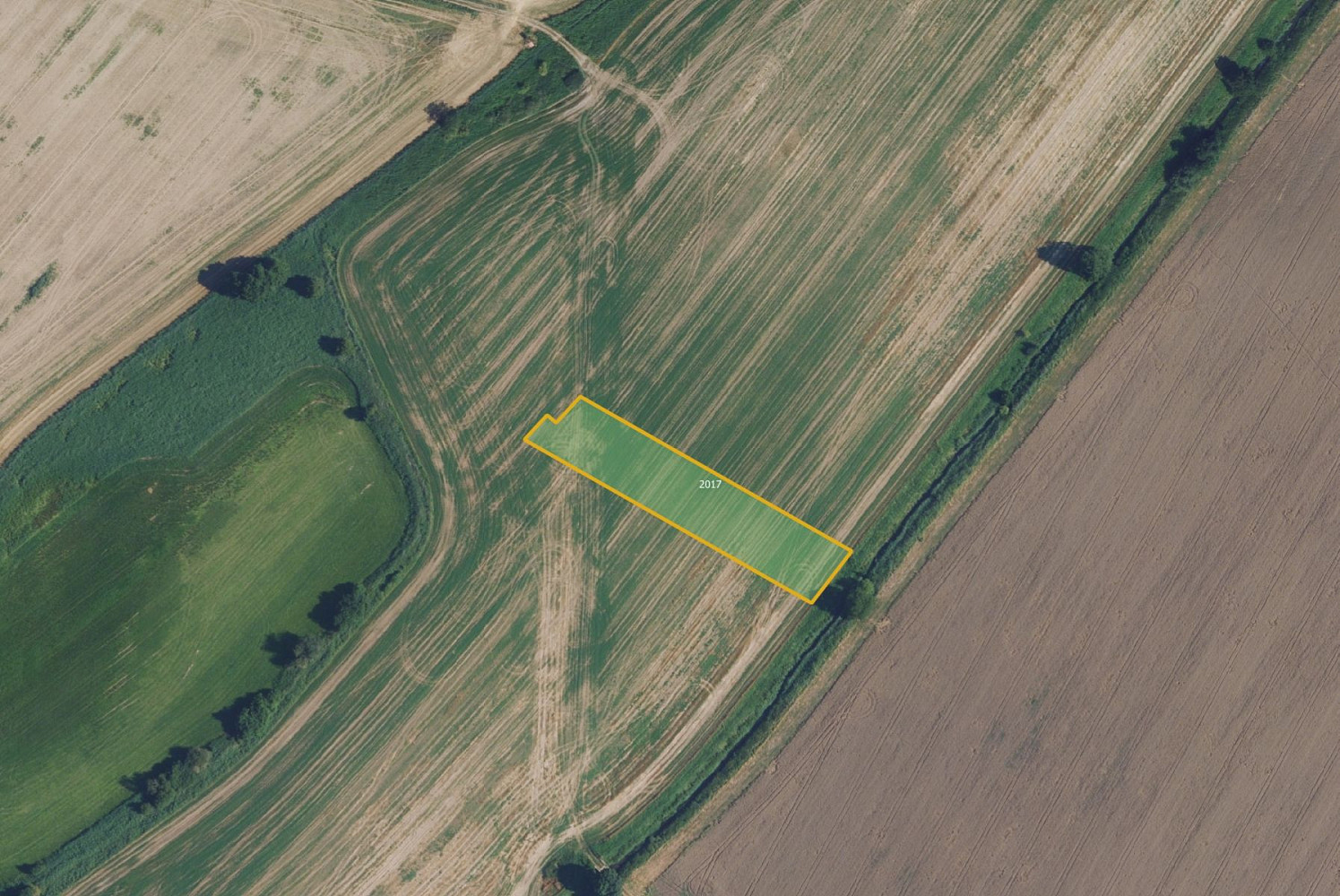 Prodej pole 64 073 m² – fotografie 5