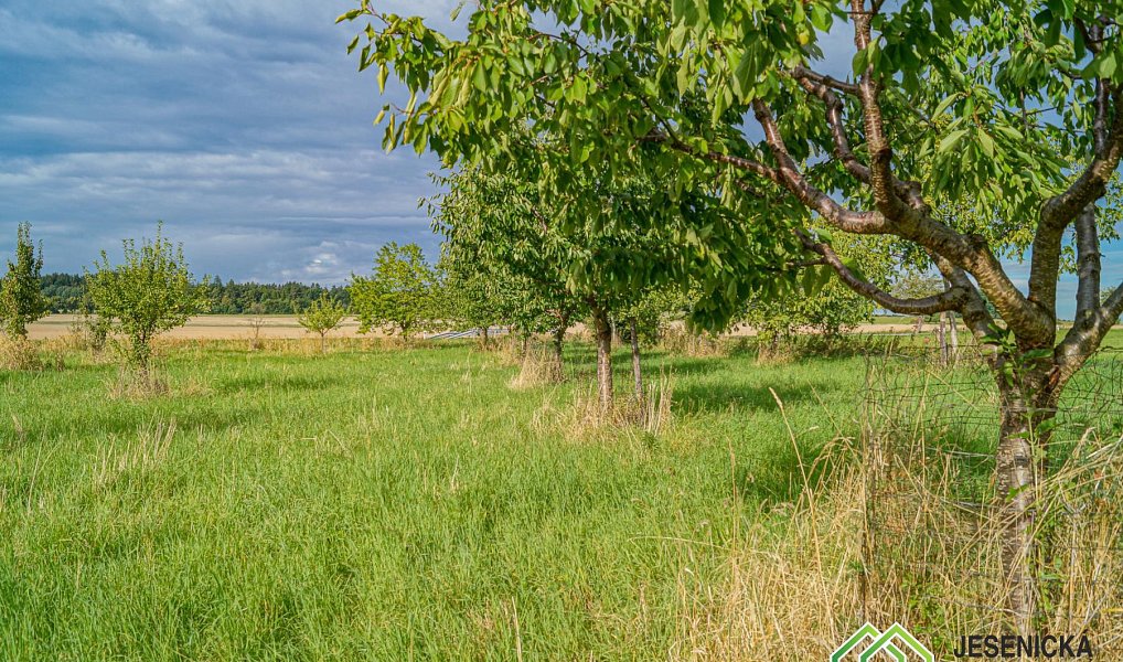 Prodej pole 16 809 m², Velké Kunětice – náhled fotky 17