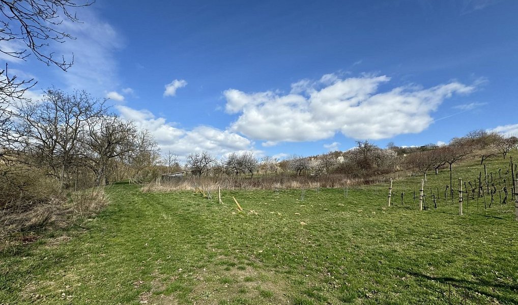 Prodej pozemku 1 540 m², Mutěnice – náhled fotky 2