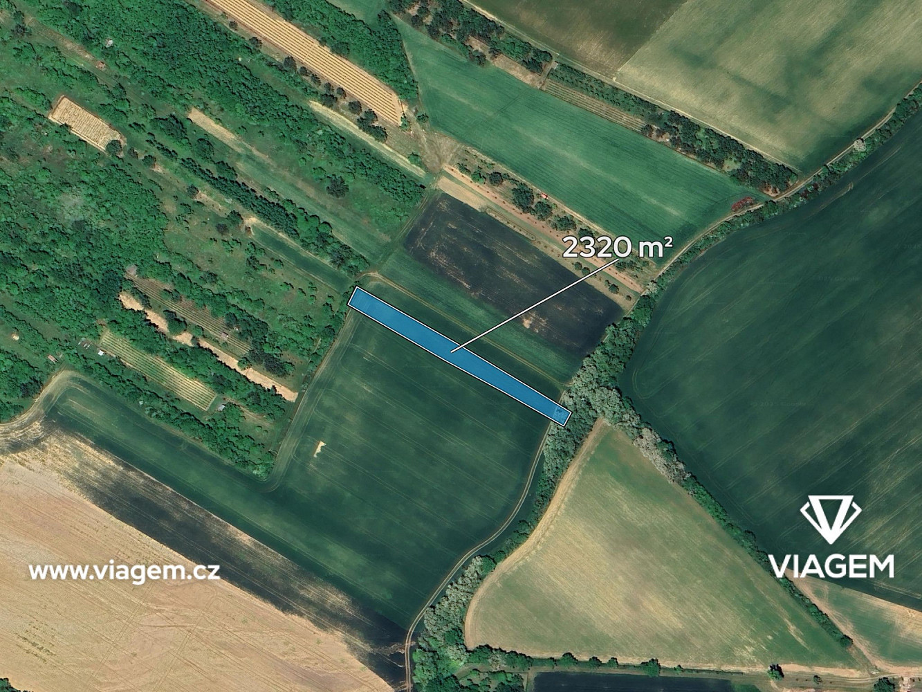 Prodej pole 1 160 m² – fotografie 2