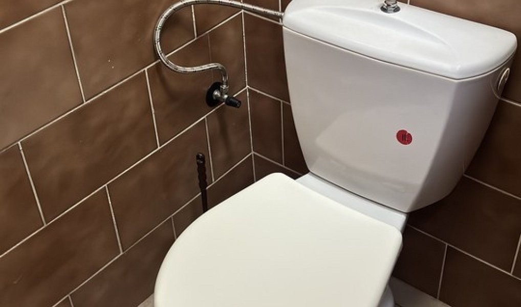 Prodej komerčního objektu (jiného typu) 600 m², Kralovice – náhled fotky 27