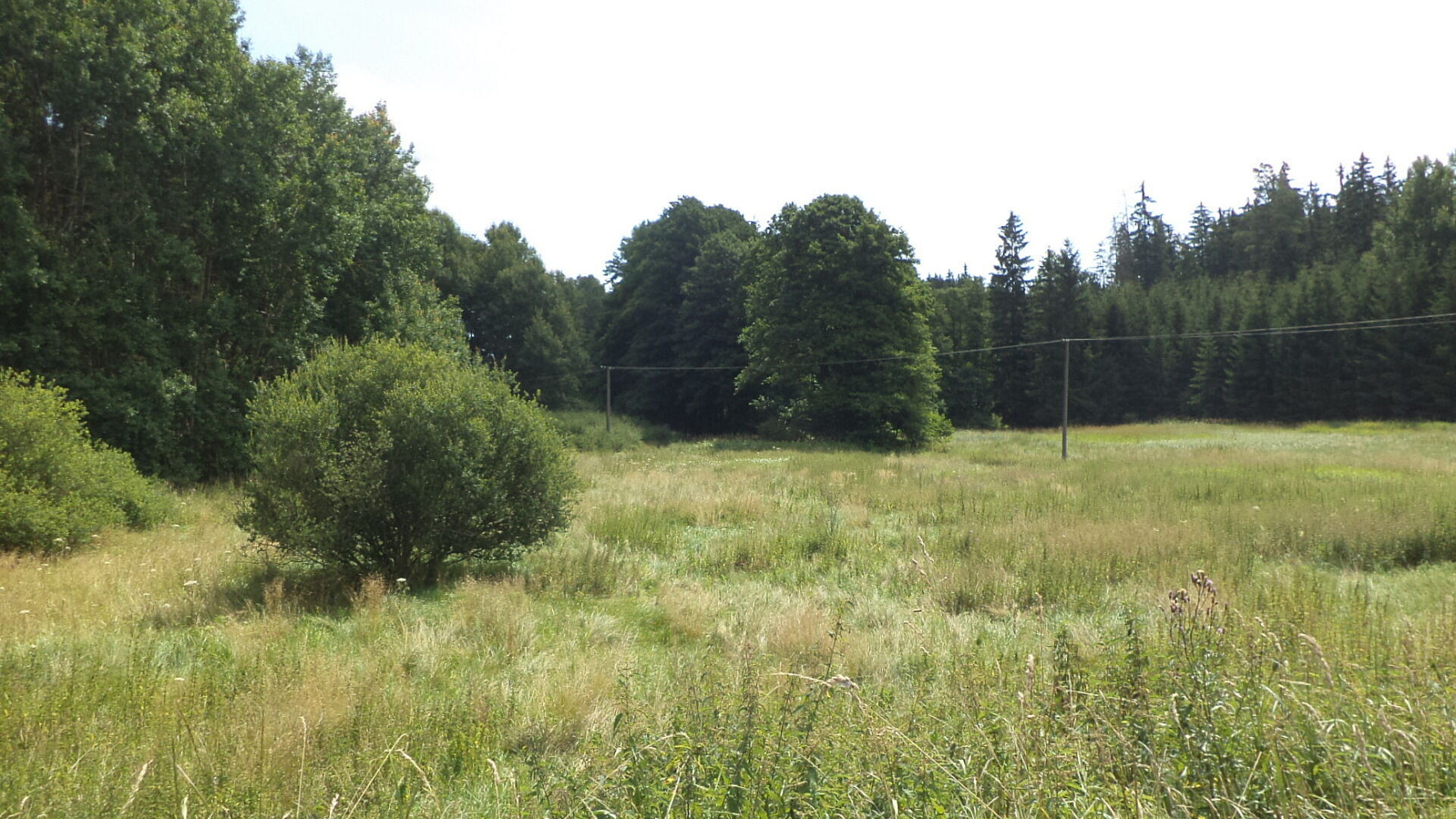 Prodej pole 13 137 m²