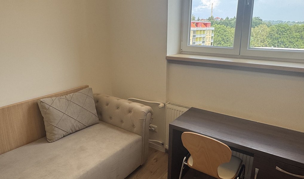 Pronájem bytu 2+1 55 m², Karlovy Vary – náhled fotky 3