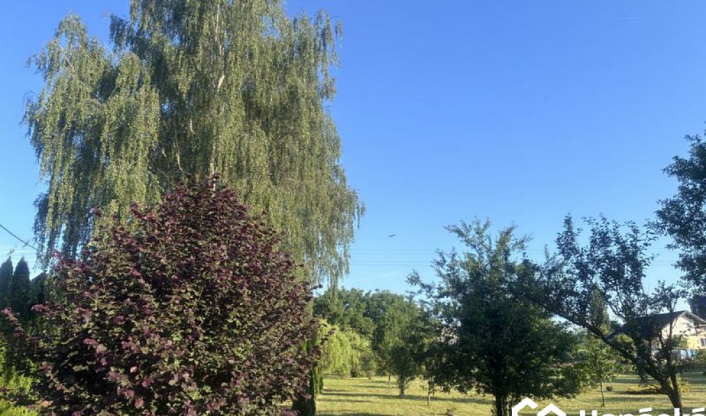 Prodej zahrady 3 994 m², Bělotín – náhled fotky 13