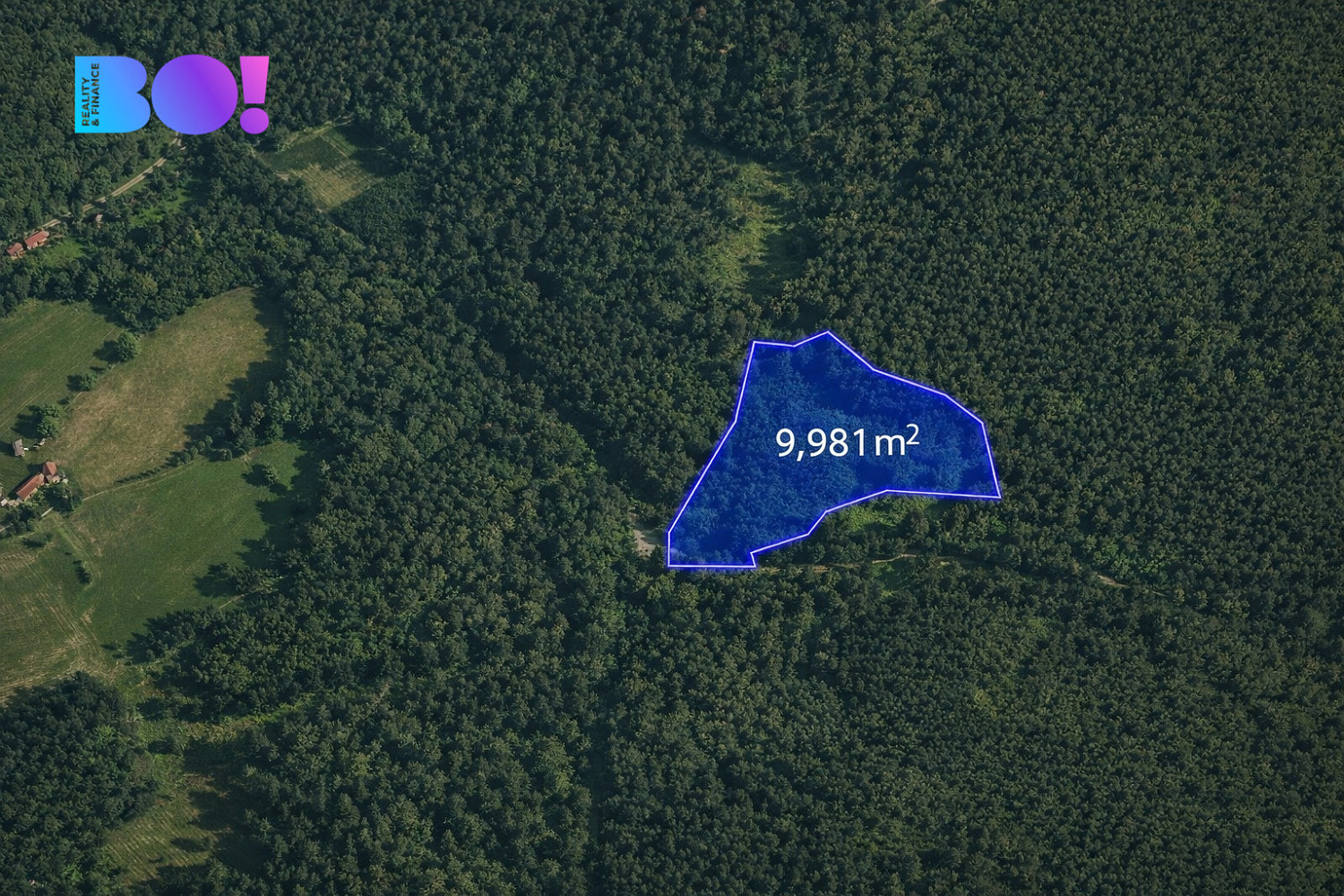 Fotka 11 z 11