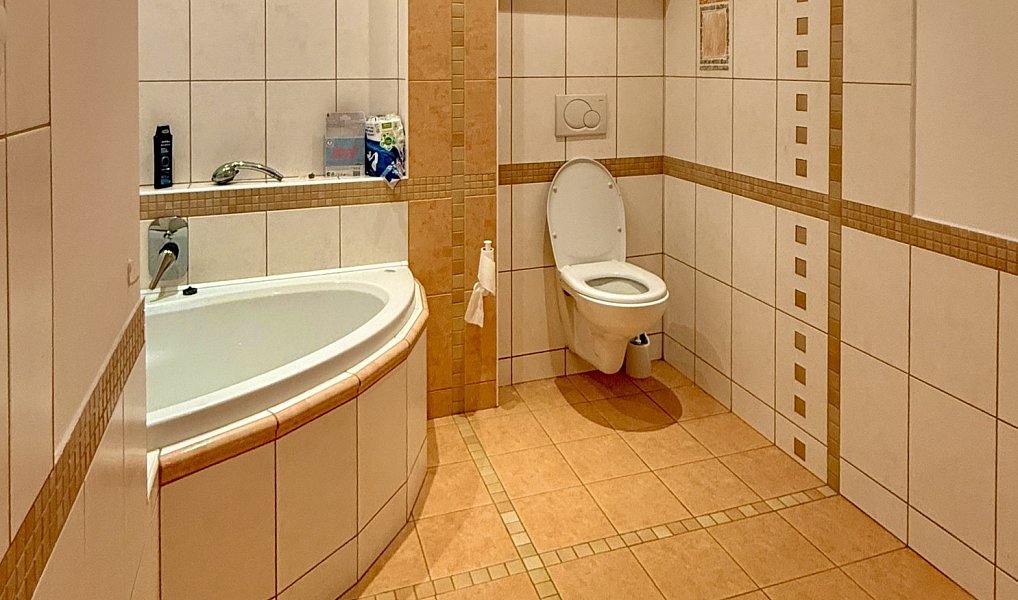Prodej domu 251 m² s pozemkem 77 m², Třebíč – náhled fotky 15
