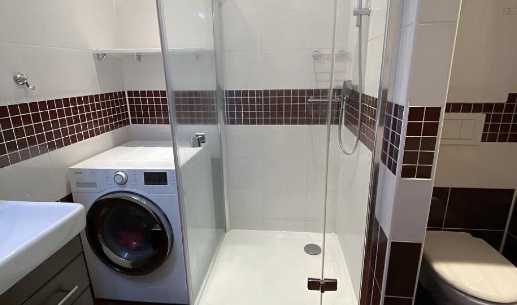 Pronájem bytu 3+1 56 m², Teplice – náhled fotky 9