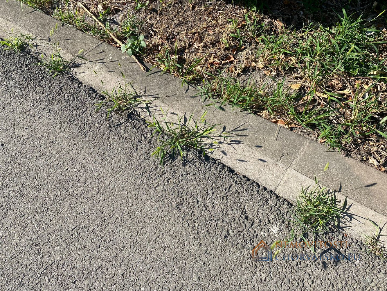 Prodej stavebního pozemku 1 651 m² - Więcej
