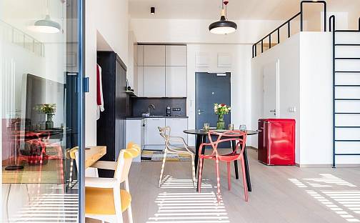 Pronájem bytu 1+kk 49 m², V háji, Praha 7 - Holešovice