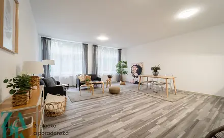 Pronájem bytu 1+kk 55 m², Purkyňova, Ústí nad Labem - Střekov