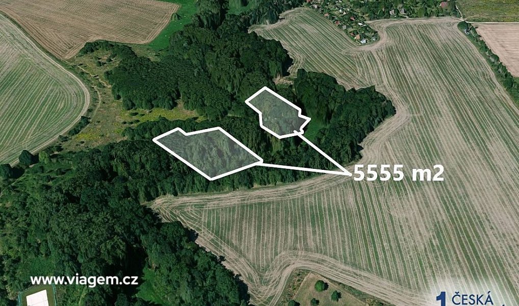 Prodej lesa 5 555 m², Praha – náhled fotky 2