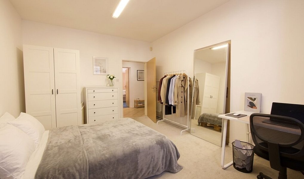 Pronájem kanceláře 85 m², Brno – náhled fotky 10