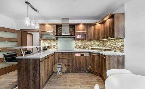 Prodej domu 310 m² s pozemkem 985 m², Sukova, Lovosice, okres Litoměřice