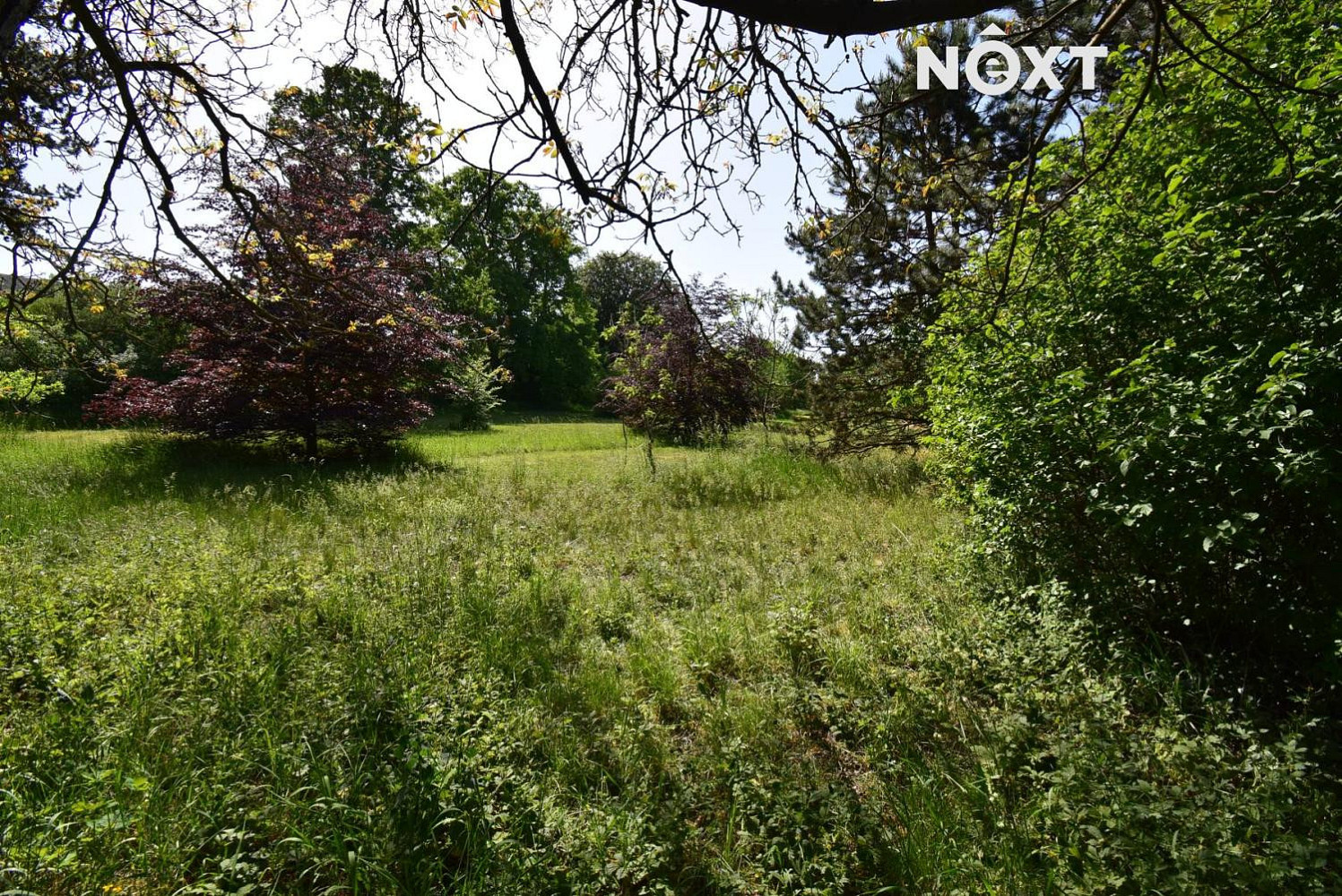 Prodej louky 7 326 m² — photo 2