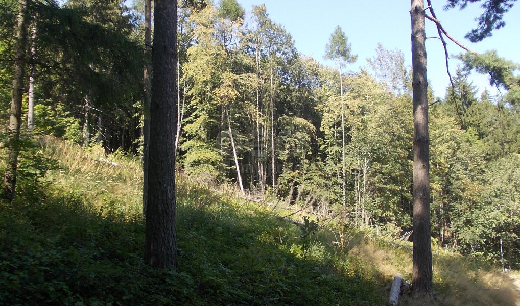 Prodej chaty/chalupy 36 m² s pozemkem 3 955 m², Pstruží – náhled fotky 8