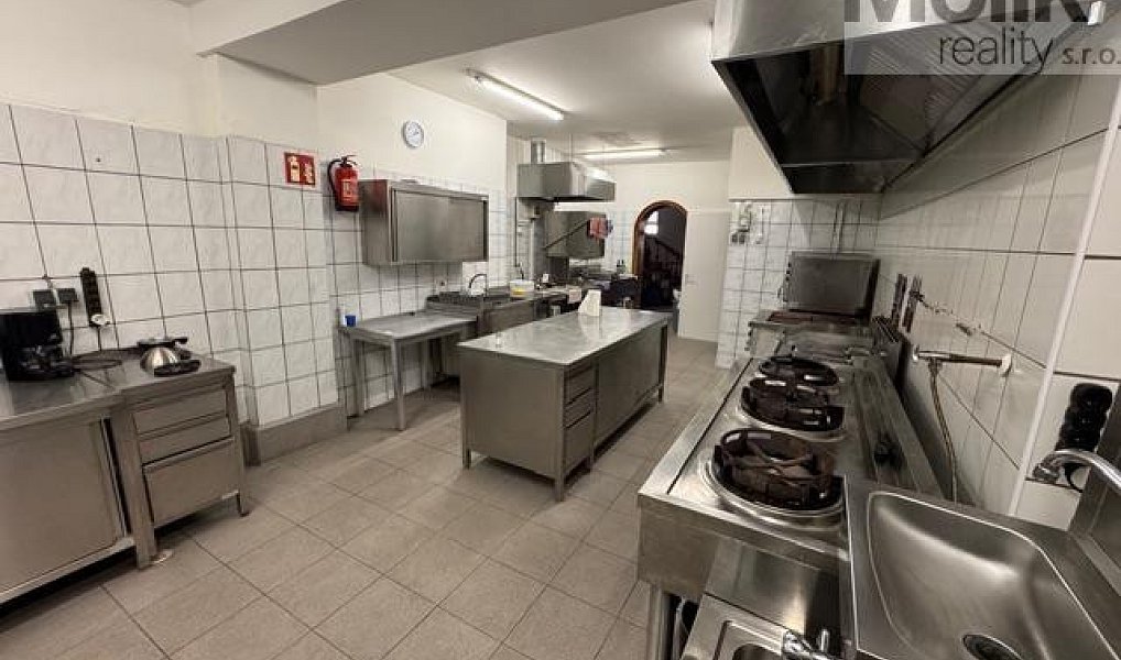 Prodej ubytovacího objektu 1 753 m², Český Jiřetín – náhled fotky 10