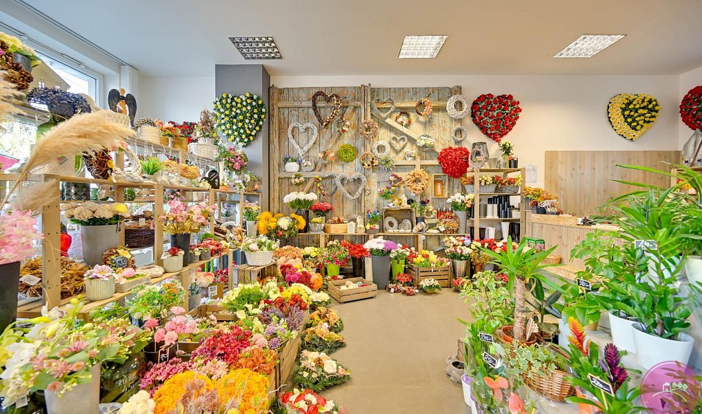 Prodej obchodních prostor 140 m², Olomouc – náhled fotky 2