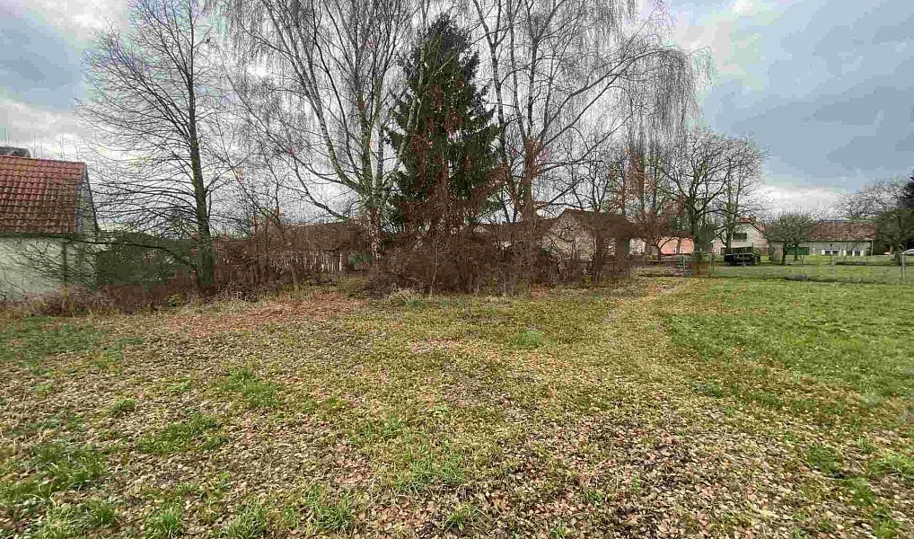 Prodej pozemku 1 427 m², Dolní Bukovsko – náhled fotky 4