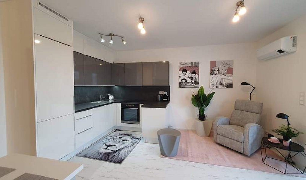 Pronájem bytu 2+kk 44 m², Olomouc – náhled fotky 4
