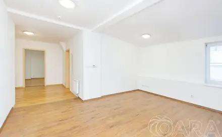 Prodej bytu 3+kk 89 m², Dražice, okres Tábor