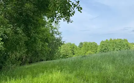 Prodej louky 58 420 m², Bílá - Vlkošov