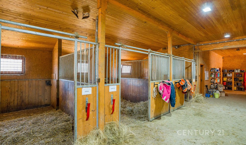 Prodej zemědělského objektu 1 100 m², Zádveřice-Raková – náhled fotky 5