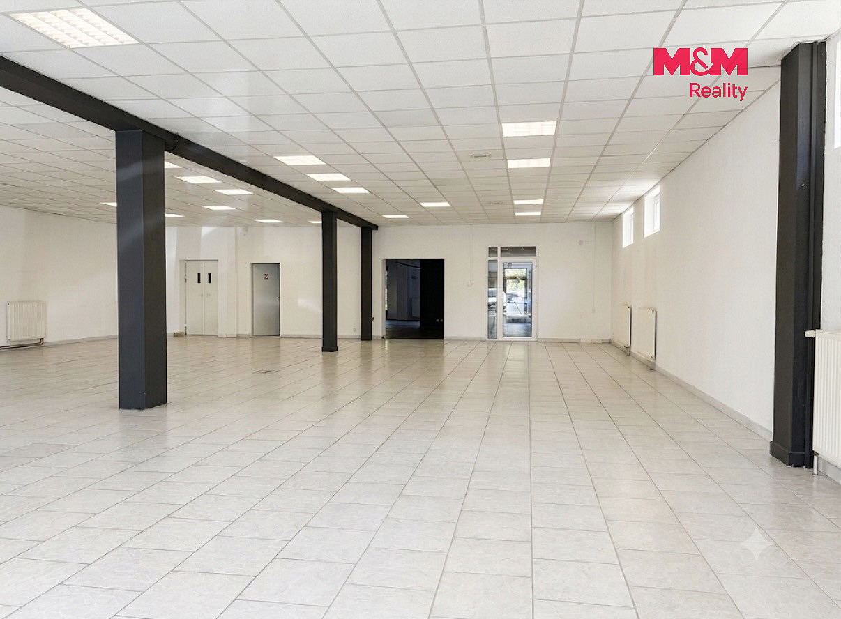Pronájem obchodních prostor 350 m² — photo 3