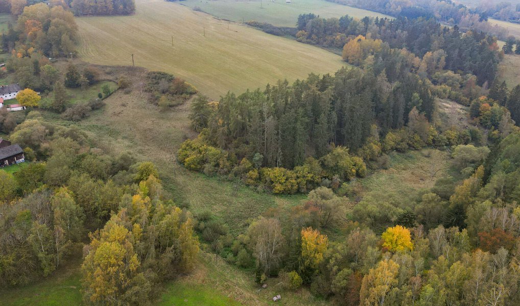 Prodej pozemku 15 970 m², Planá – náhled fotky 21