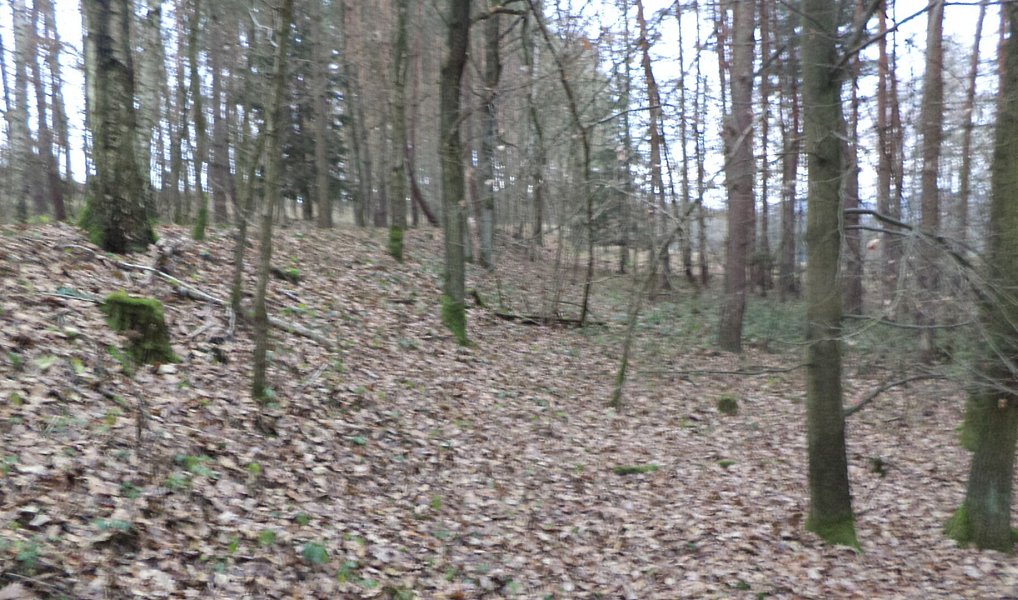 Prodej lesa 28 299 m², Křečovice – náhled fotky 2