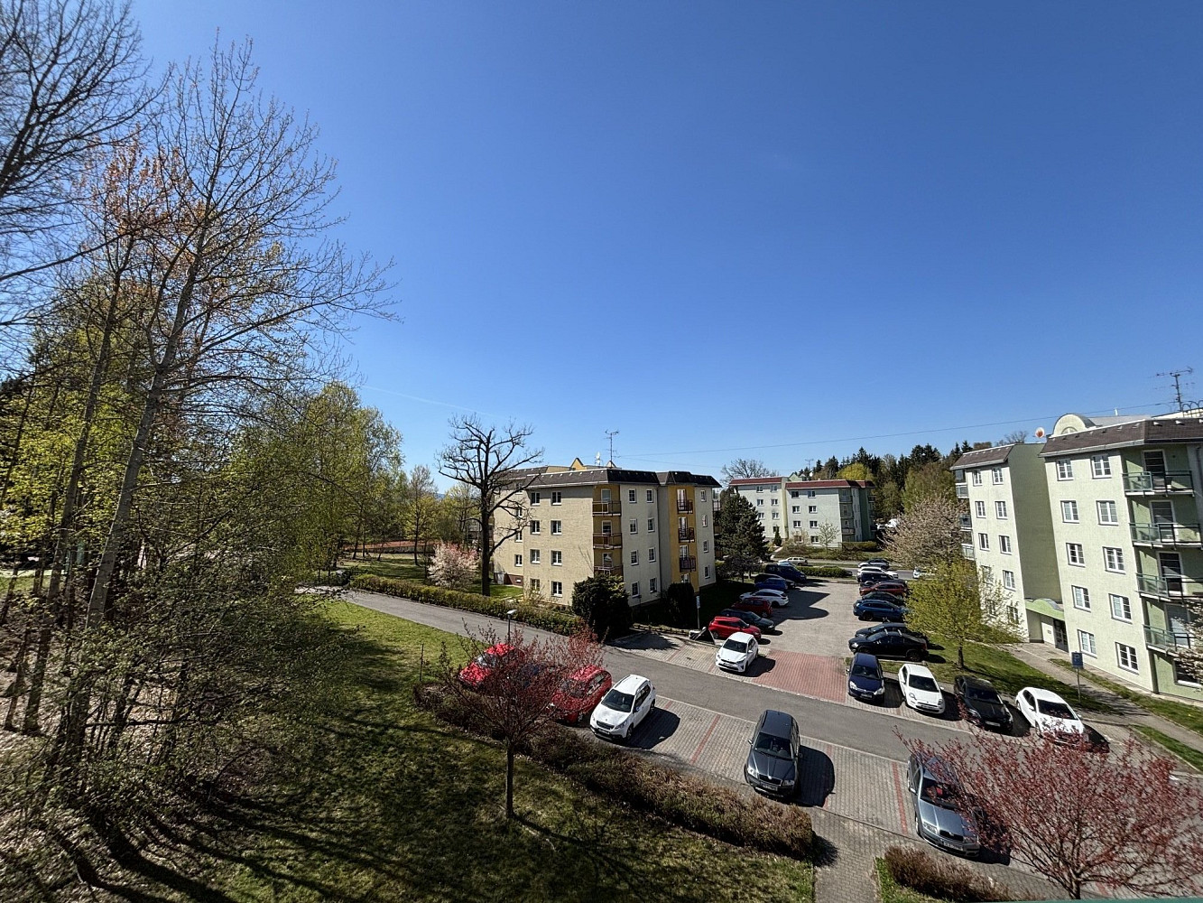 Fotka 10 z 11