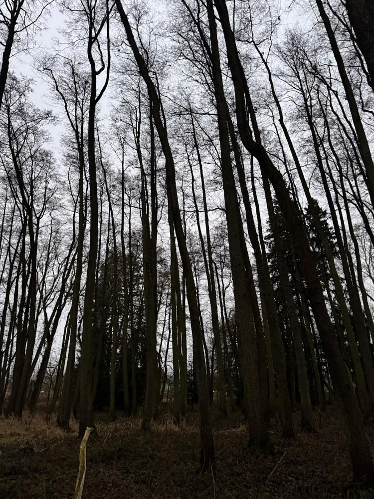 Dům – Předslav, Klatovy – další