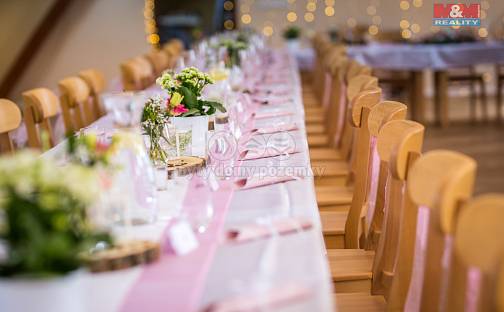 Prodej ubytovacího objektu 1 633 m², Střemská, Mělník