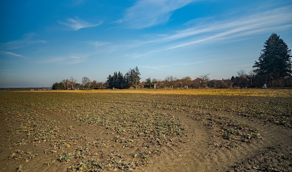 Prodej stavebního pozemku 1 000 m², Chudeřice – náhled fotky 19