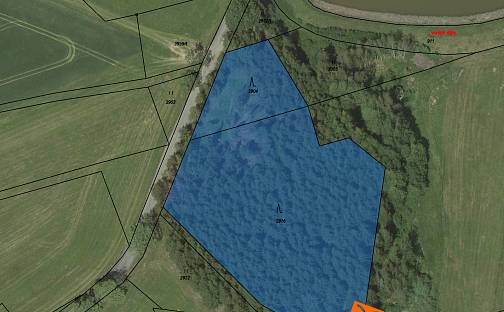 Prodej lesa 7 780 m², Jedlová, okres Svitavy