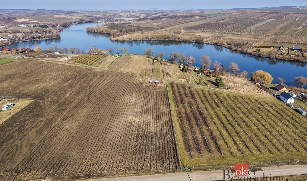 Prodej pozemku 2 791 m², Velké Bílovice – náhled fotky 12