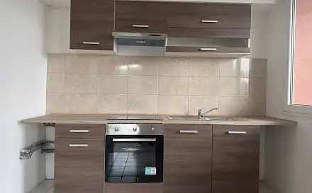 Pronájem bytu 1+kk 36 m², Brněnská, Most