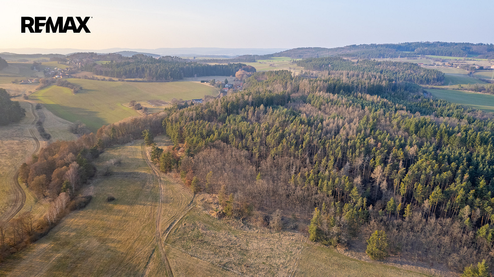 Prodej lesa 14 998 m² – pohled 6