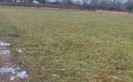 Prodej stavebního pozemku 79 m², Tršice, okres Olomouc