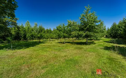 Prodej stavebního pozemku 12 049 m², Varnsdorf - Studánka, okres Děčín