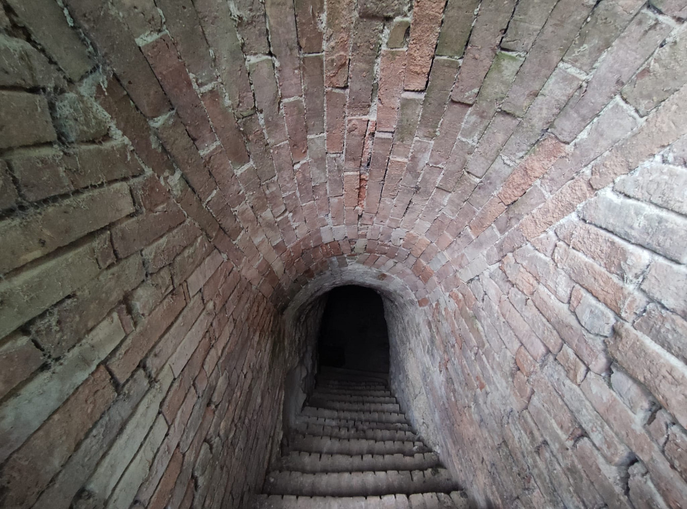 Prodej vinného sklepa 14 m² vrbice, okres břeclav — photo 3