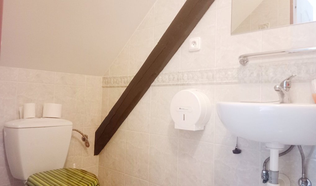 Prodej domu 290 m² s pozemkem 188 m², Třeboň – náhled fotky 8