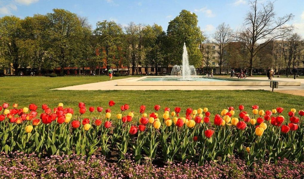Prodej stavebního pozemku 762 m², Choťánky – náhled fotky 6
