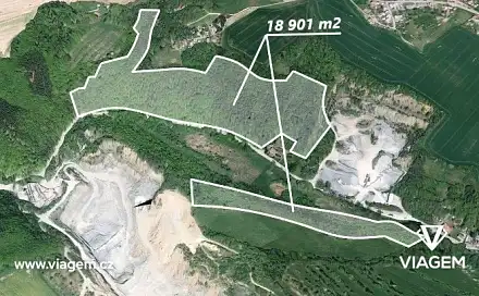 Prodej lesa 11 163 m², Vyškov