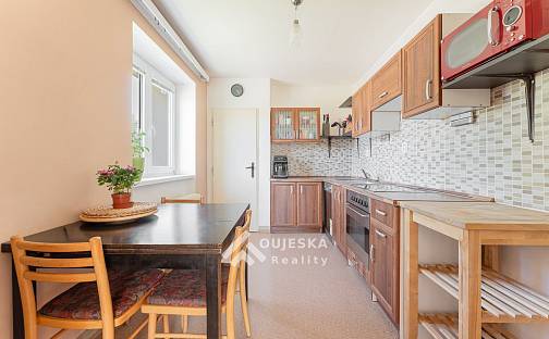 Prodej bytu 2+1 59 m², Otakara Kubína, Boskovice, okres Blansko