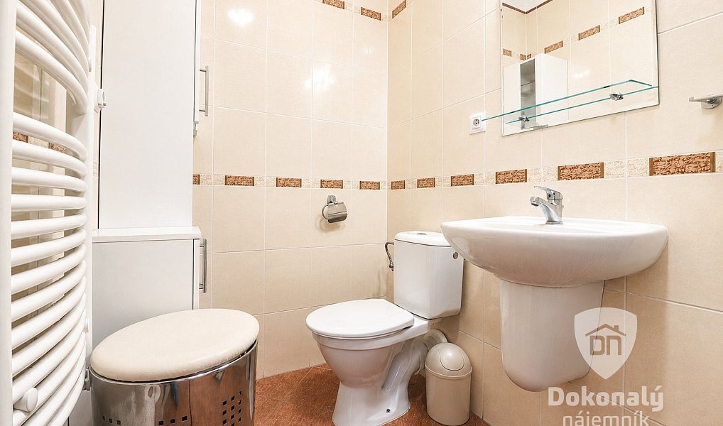 Pronájem bytu 2+kk 52 m², Praha – náhled fotky 9